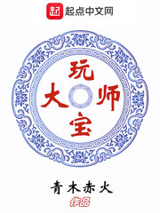 玩宝大师 作者:青木赤火