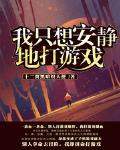 我只想安静地打游戏后续