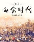 我的白金时代