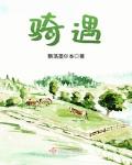 奇遇电影结局